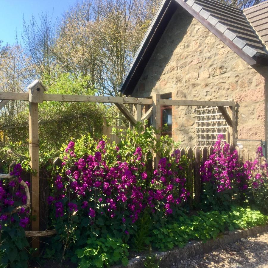 Gallery Cottage Aberdeen Exterior foto